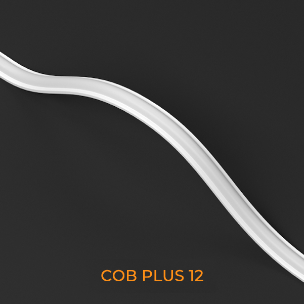 COB-PLUS-12-2